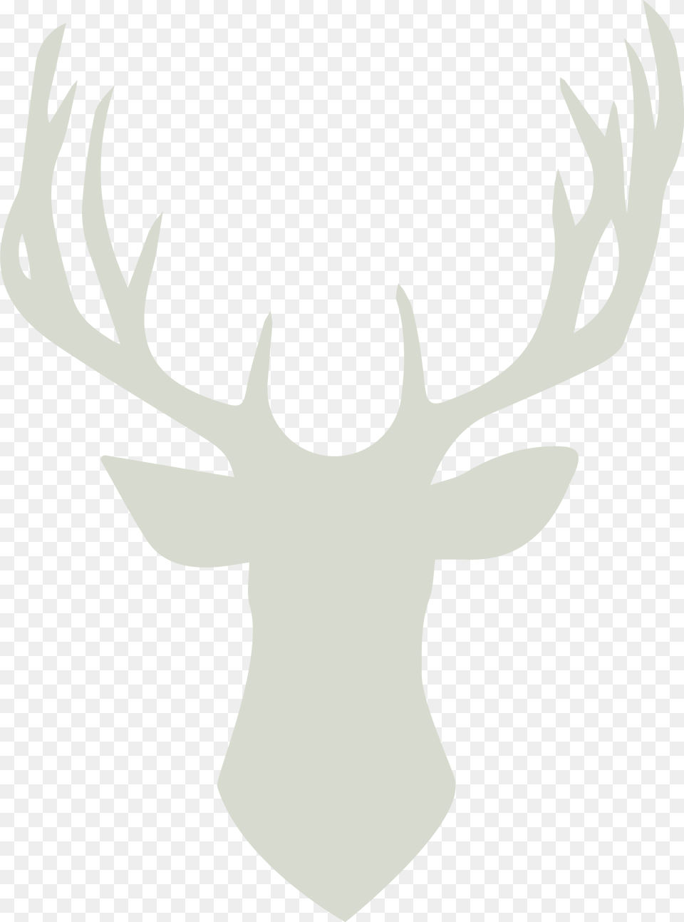 Deer Horns, Antler, Animal, Mammal, Wildlife Png Image