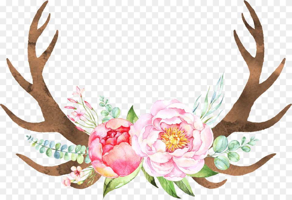 Deer Horns, Graphics, Art, Floral Design, Pattern Free Transparent Png