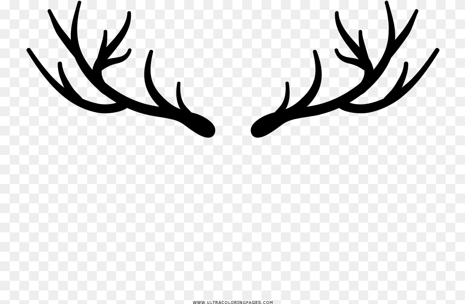 Deer Horns Coloring, Gray Free Png Download