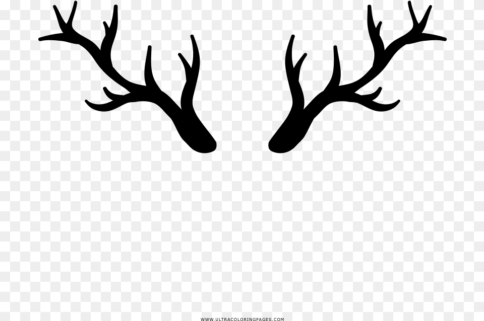 Deer Horns Coloring, Gray Png