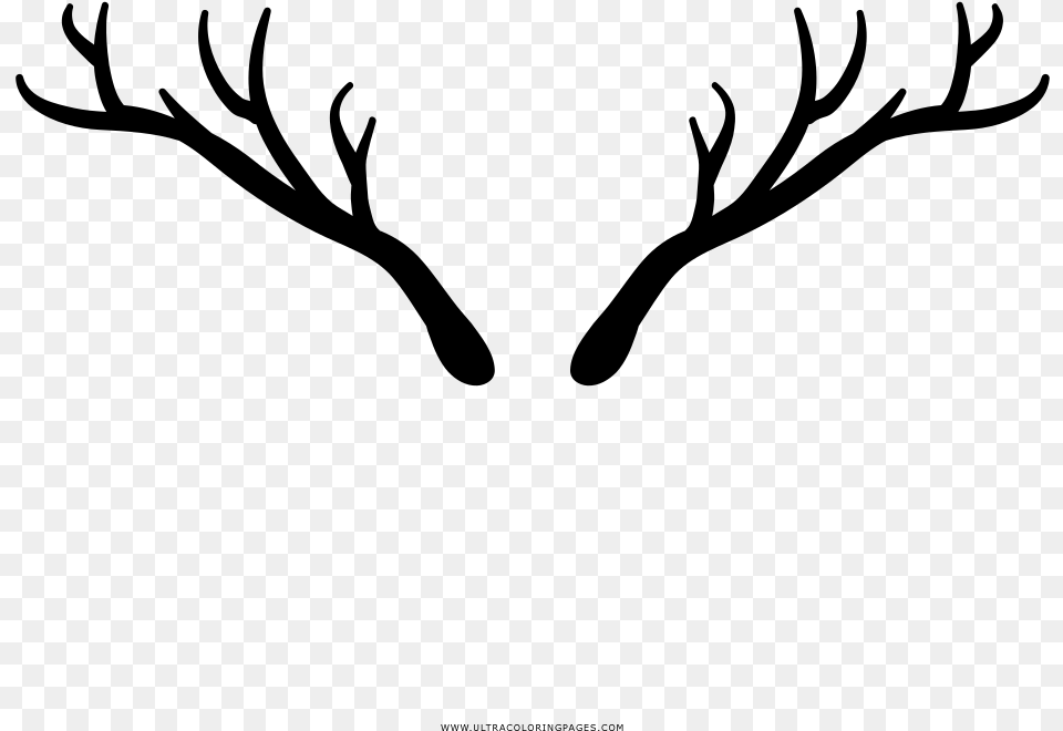 Deer Horns Coloring, Gray Free Transparent Png