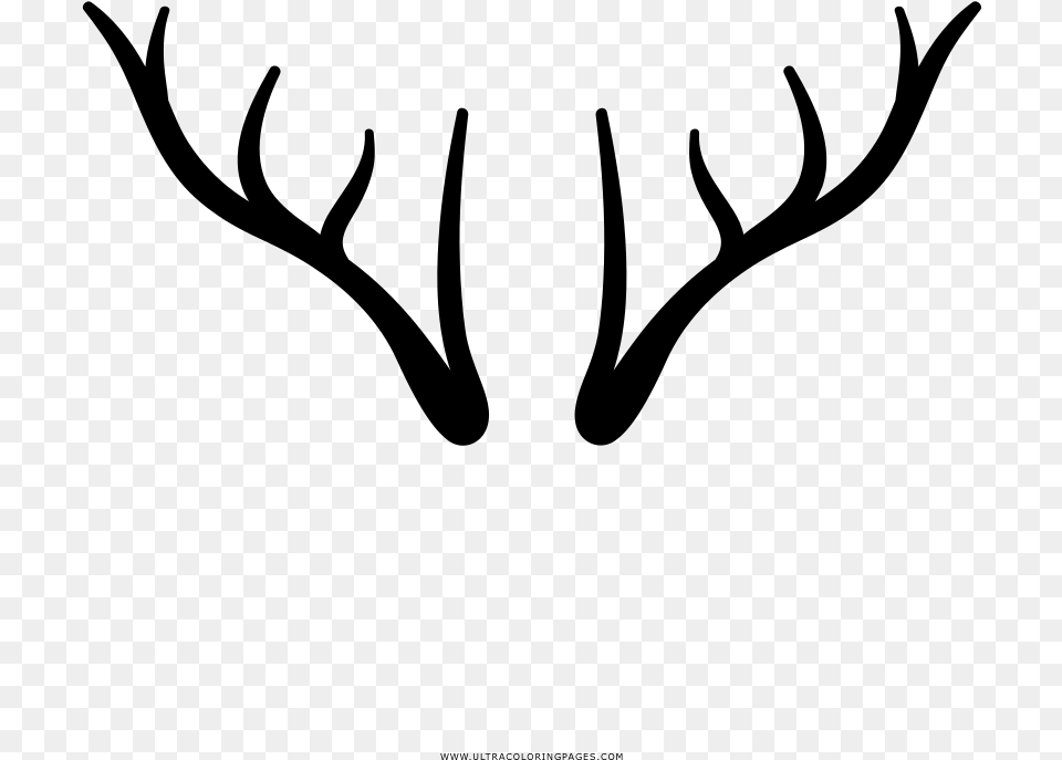 Deer Horns Deer Horn Free, Gray Png