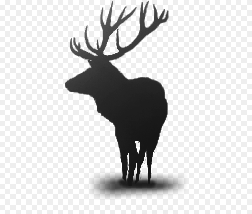 Deer Horns Horn Animals Animallover Dailyremixchallenge Elk Phone Background, Animal, Mammal, Silhouette, Wildlife Free Transparent Png