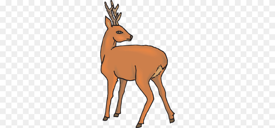 Deer Hunting Clip Art Clipart, Animal, Wildlife, Mammal, Adult Png Image