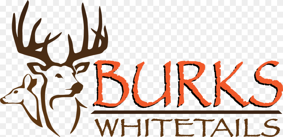 Deer Hunting Logos Burks Whitetails, Animal, Antler, Mammal, Wildlife Png Image