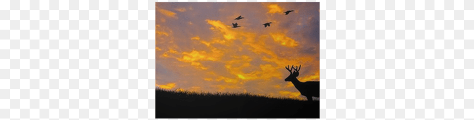 Deer Hunting Silhouette Art, Animal, Mammal, Wildlife, Antelope Png Image