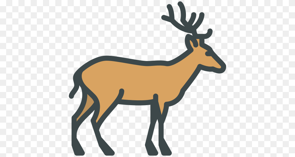 Deer Icon, Animal, Mammal, Wildlife, Person Free Transparent Png