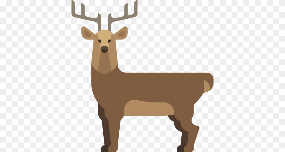 Deer Icon, Animal, Mammal, Wildlife, Elk Free Png Download