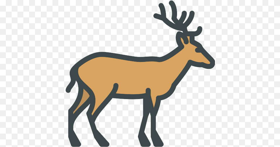 Deer Icon Animal Kingdom Clipart Black And White, Mammal, Wildlife, Person, Elk Free Png