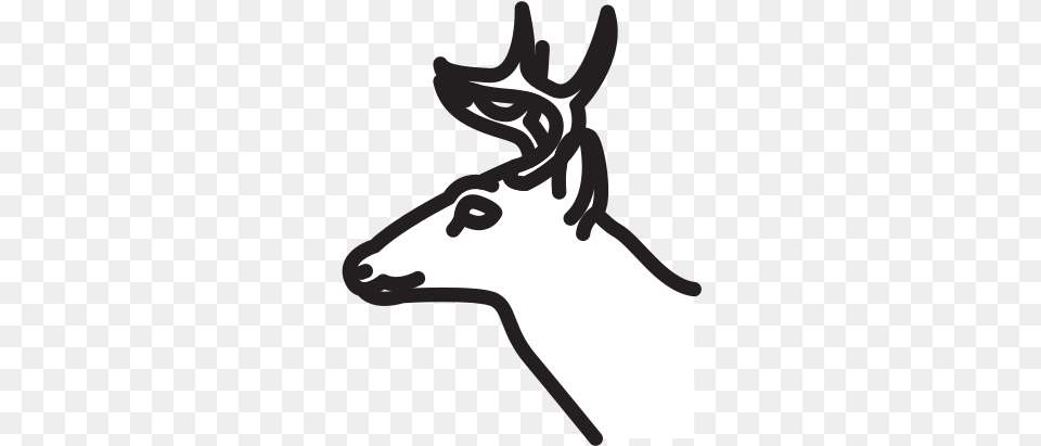 Deer Icon Of Selman Icons Automotive Decal, Animal, Mammal, Stencil, Wildlife Png