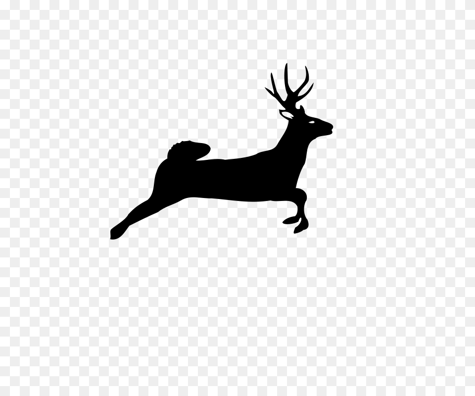 Deer Jumping, Gray Free Png