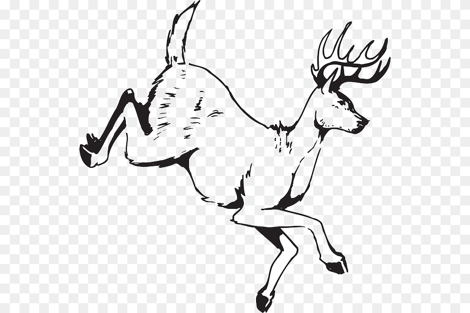 Deer Jumping Animal Antlers Wildlife Clip Art, Stencil, Mammal, Drawing, Baby Free Png