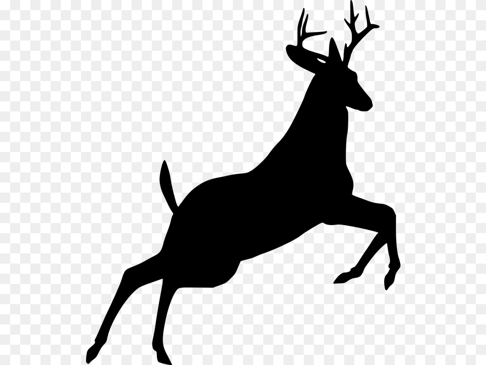 Deer Jumping Silhouette Animal Leaping Wildlife Deer Silhouette, Gray Png