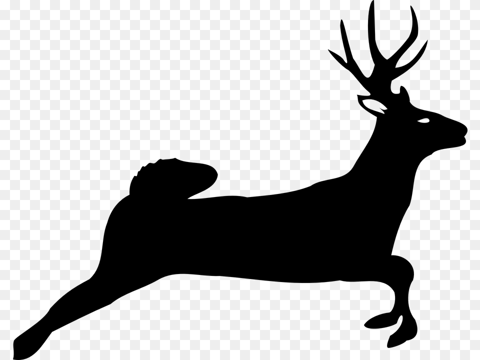 Deer Jumping White Tailed Deer Silhouette, Gray Free Png