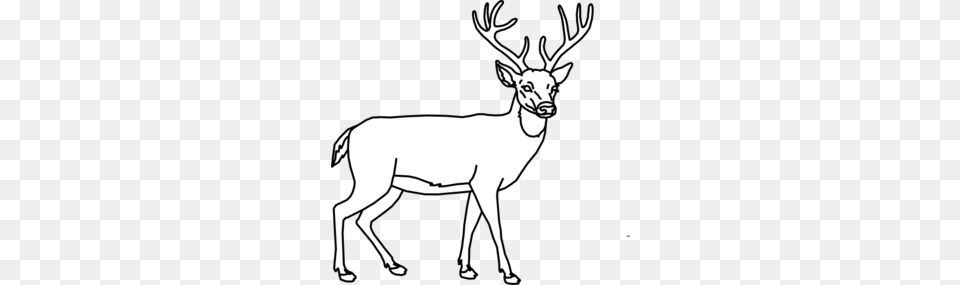 Deer Outline Clip Art, Animal, Mammal, Wildlife, Elk Free Transparent Png