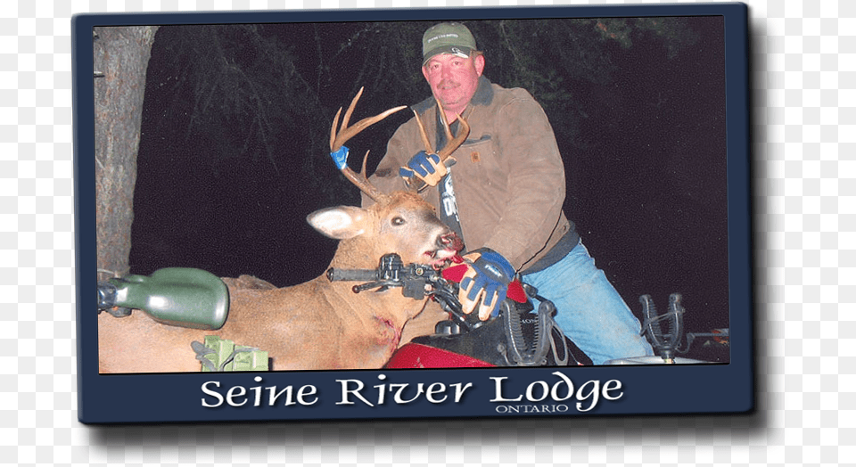 Deer Rack Deer Hunting, Clothing, Glove, Adult, Person Png