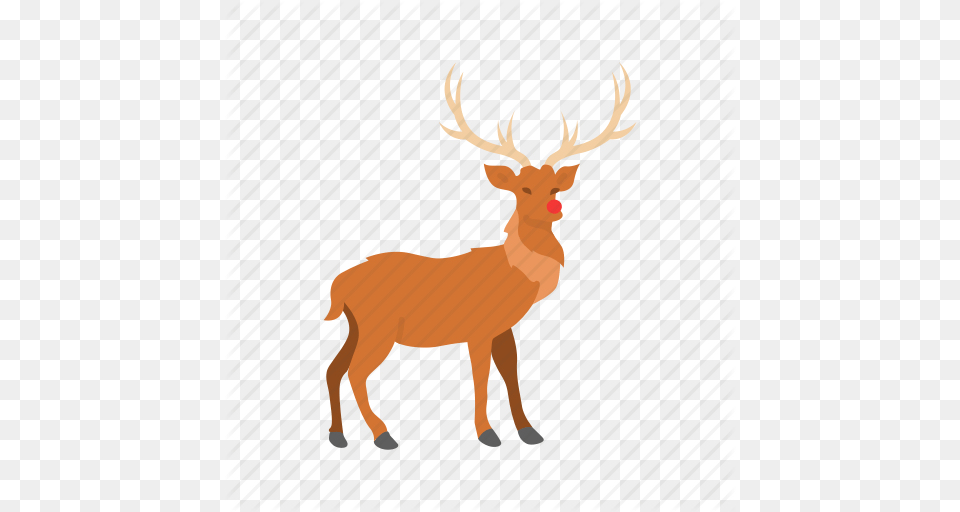 Deer Red Nose Reindeer Rudolph Icon, Animal, Elk, Mammal, Wildlife Png Image