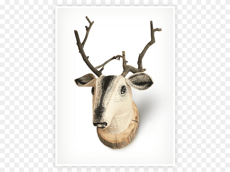 Deer Reindeer, Antler, Animal, Mammal, Wildlife Free Png Download