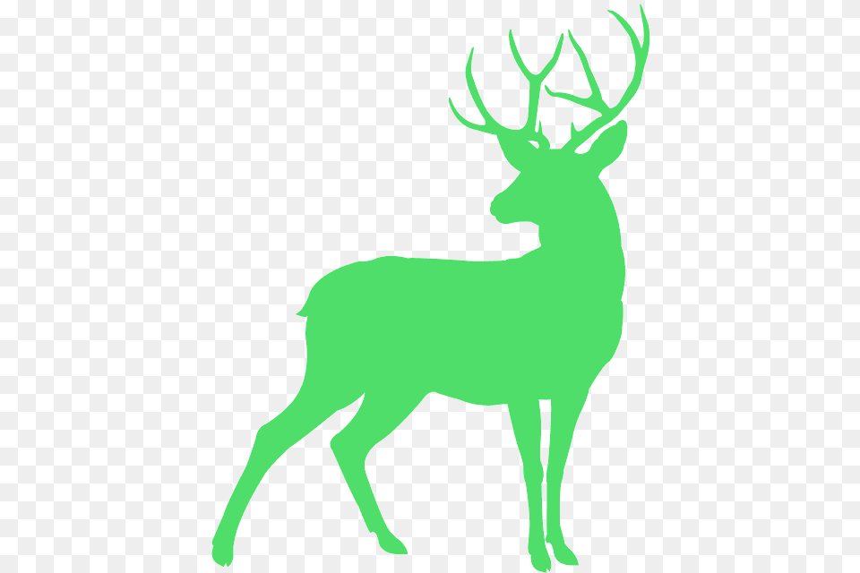 Deer Silhouette, Animal, Mammal, Wildlife, Elk Free Transparent Png