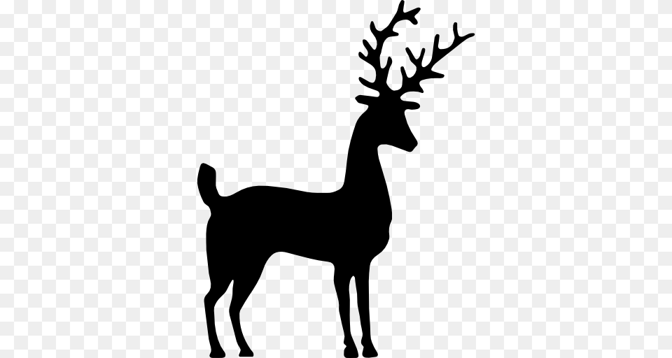 Deer Silhouette, Animal, Mammal, Wildlife, Stencil Png