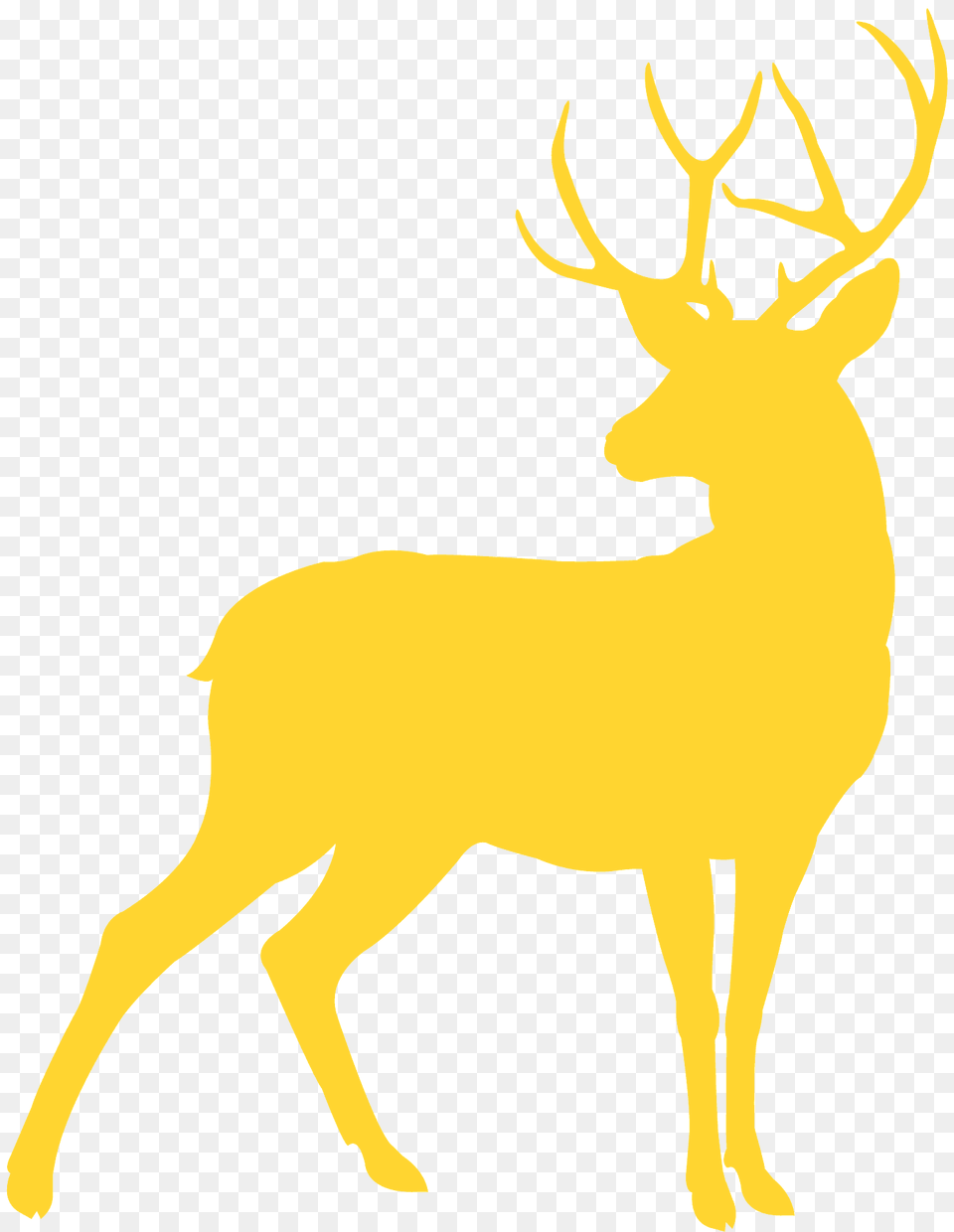 Deer Silhouette, Animal, Elk, Mammal, Wildlife Free Png Download