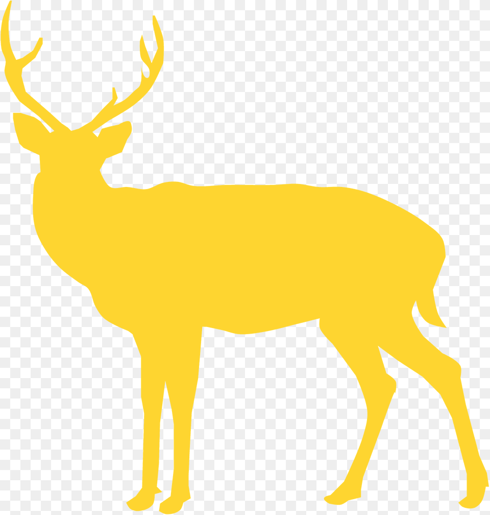 Deer Silhouette, Animal, Mammal, Wildlife, Elk Free Png