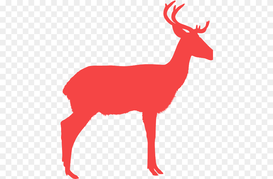 Deer Silhouette Color Transparent, Animal, Mammal, Wildlife, Elk Png