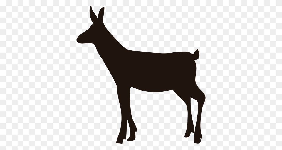 Deer Silhouette Standing, Animal, Antelope, Mammal, Wildlife Png Image