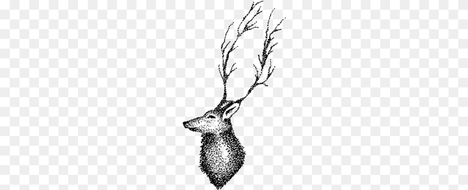 Deer Sketch, Gray Png Image