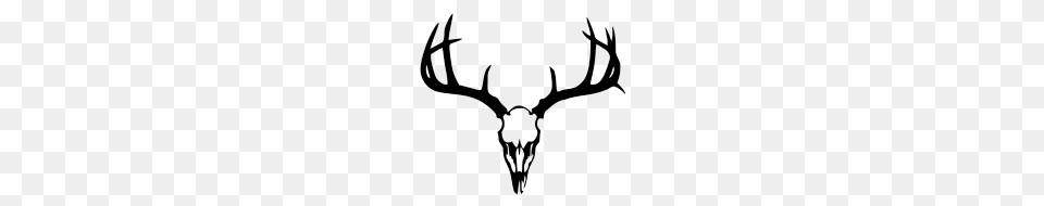 Deer Skull, Gray Free Transparent Png