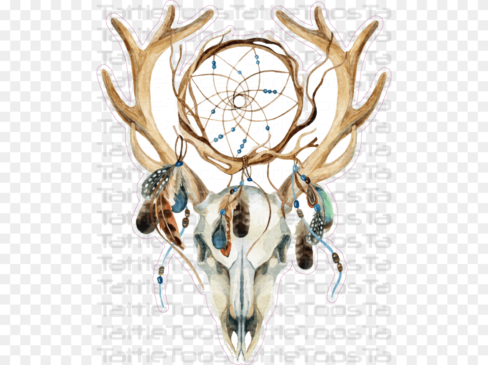 Deer Skull Dreamcatcher Deer Skull Dream Catcher Tattoo, Antler, Animal, Mammal, Wildlife Free Png Download