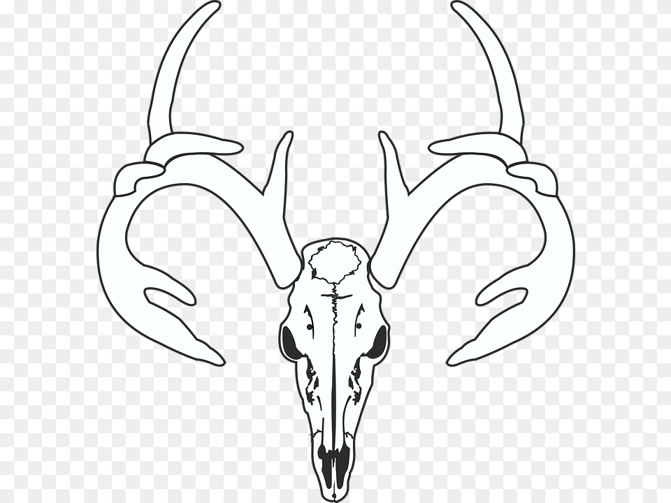 Deer Skull Hunt Hunting Taxidermy European Mount Gambar Logo Kepala Rusa, Stencil, Electronics, Hardware, Antler Free Png