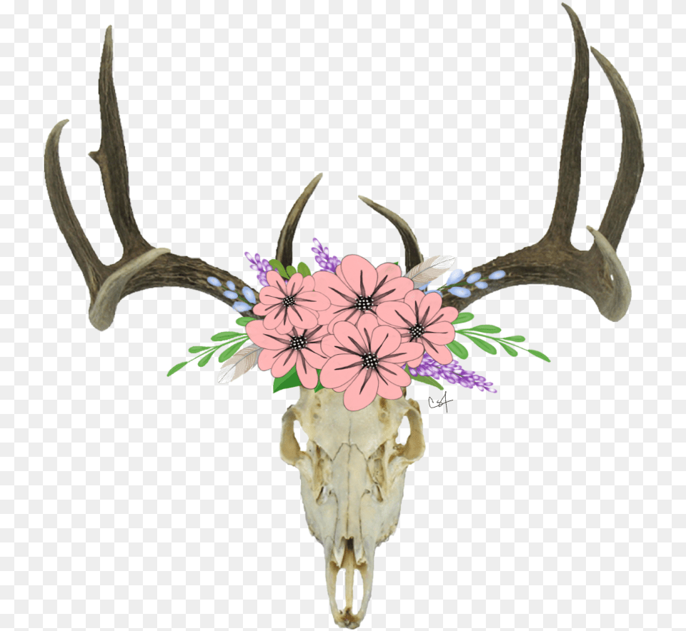 Deer Skull Background Cartoon Deer Skull With Flowers, Antler, Animal, Mammal, Wildlife Free Transparent Png