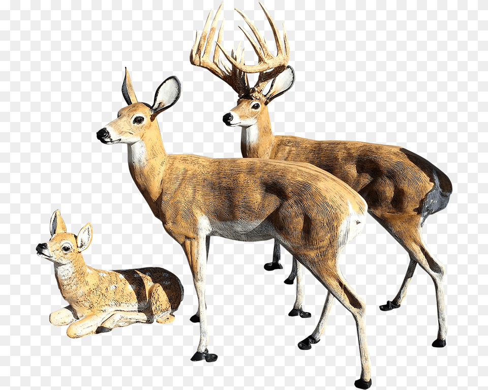 Deer Statues Outdoor Decoration For Your Yard For Sale Deer Statues For Yard, Animal, Antelope, Mammal, Wildlife Free Png