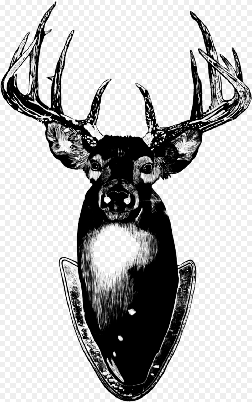 Deer Tattly Stag Head Card Amp Temporary Tattoo Only, Animal, Antler, Mammal, Wildlife Png Image