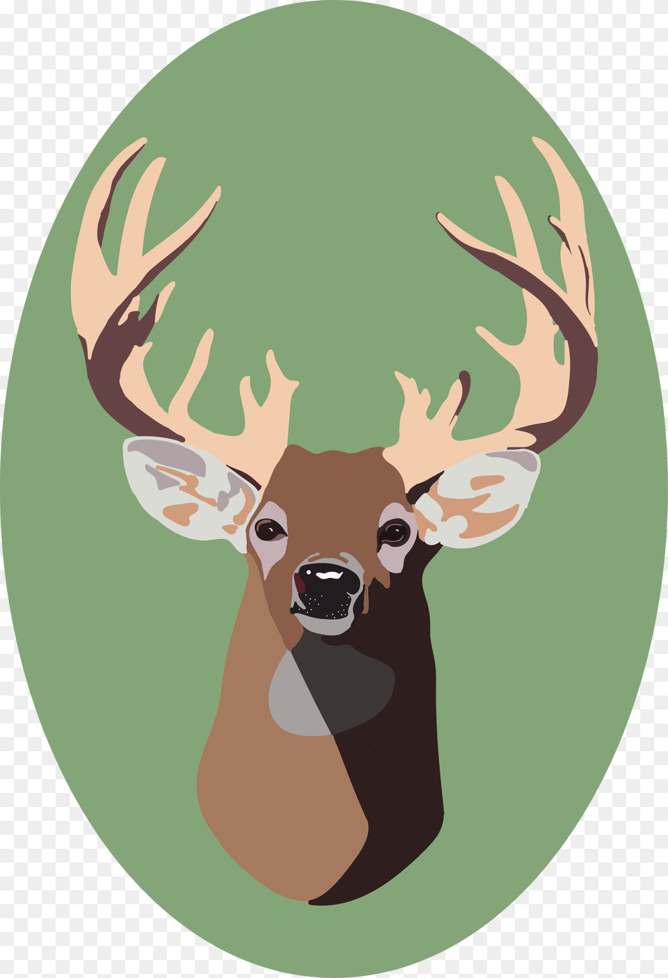 Deer Vector, Animal, Mammal, Wildlife, Elk Free Png Download