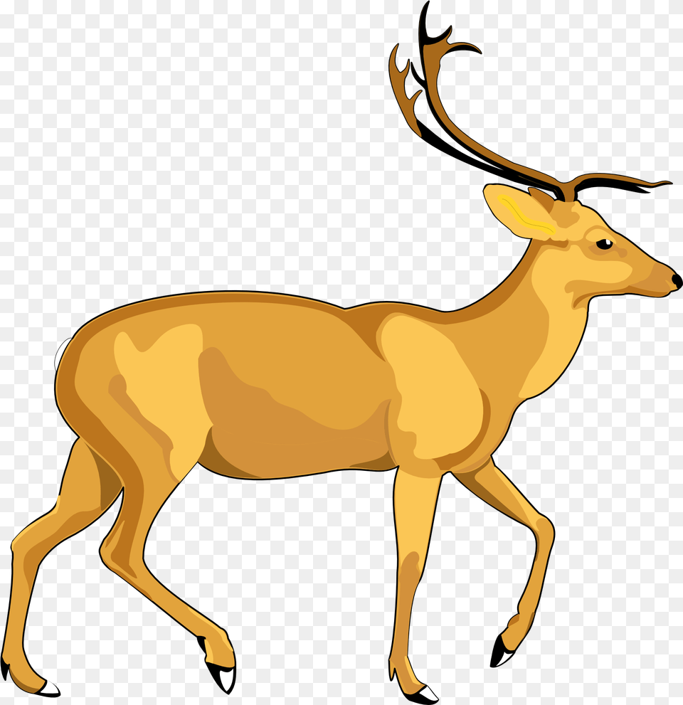 Deer Vector Transparent Image Deer Vector, Animal, Mammal, Wildlife, Antelope Free Png