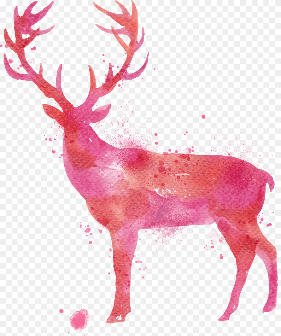 Deer Watercolor Painting Drawing Animal Vector Deer, Elk, Mammal, Wildlife, Antler Png Image