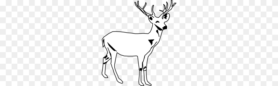Deer White Clip Art, Animal, Mammal, Stencil, Wildlife Png Image