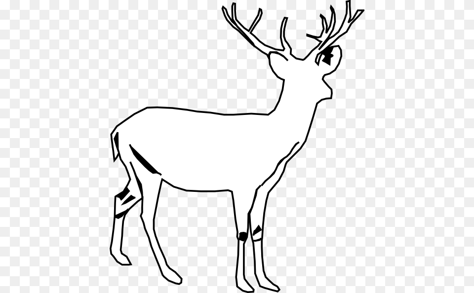 Deer White Clip Art, Animal, Mammal, Wildlife, Kangaroo Png