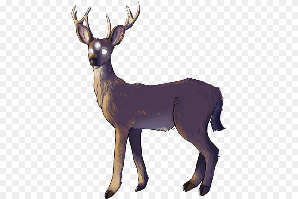 Deer With 3 Eyes, Animal, Mammal, Wildlife, Elk Free Png Download