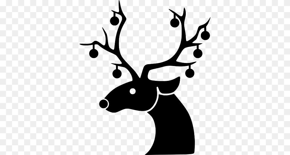 Deer With Decorated Antlers For Christmas, Animal, Mammal, Wildlife, Antler Free Transparent Png