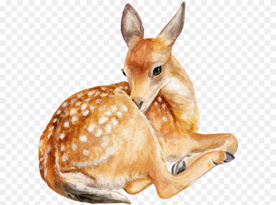 Deerfawnroe Deeranimal Figurewildlifefigurine Transparent Background Deer, Animal, Mammal, Wildlife, Bread Free Png