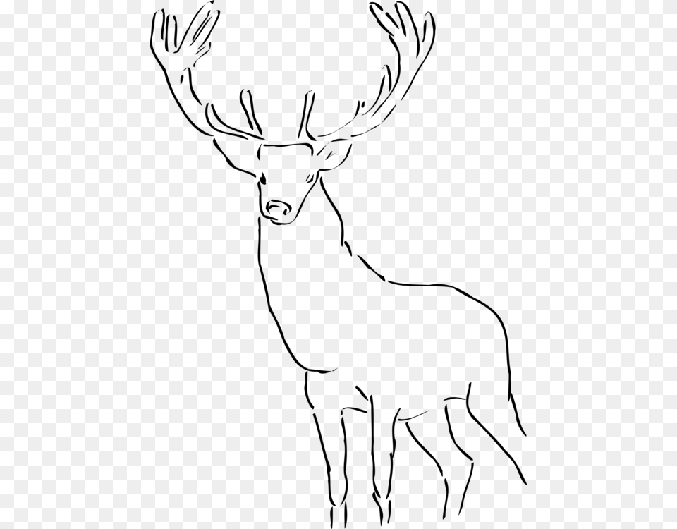 Deerhornmonochrome, Gray Free Transparent Png