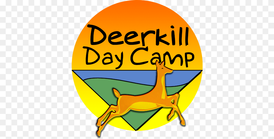 Deerkill Day C Suffern Ny Summer Camp Dates And Rates, Animal, Deer, Mammal, Wildlife Free Transparent Png