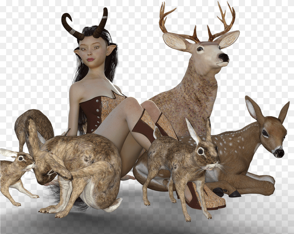 Deerred Elk, Adult, Wildlife, Person, Mammal Free Png Download