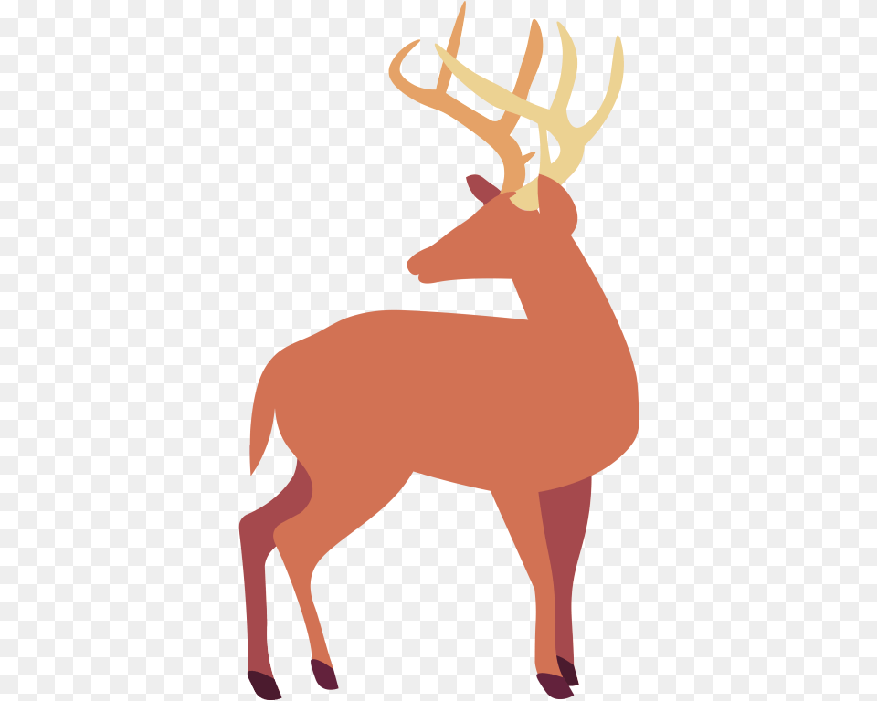 Deers Are Such Majestic Animalsget The Sticker Here Elk, Animal, Wildlife, Deer, Mammal Png