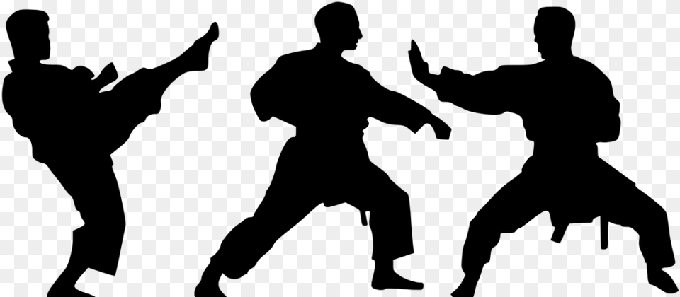 Defence Karate, Adult, Male, Man, Person Free Png Download