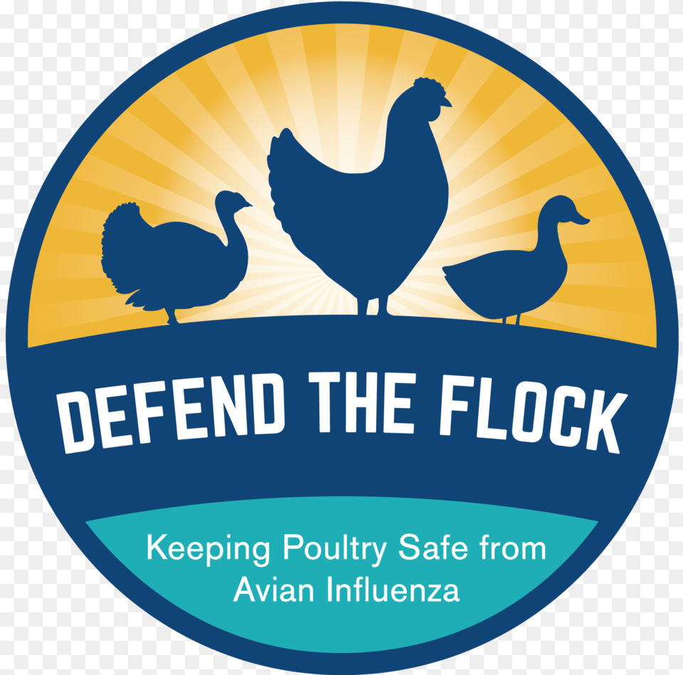 Defend The Flock Logo Generic Scouting In Popular Culture, Animal, Bird, Chicken, Fowl Png Image