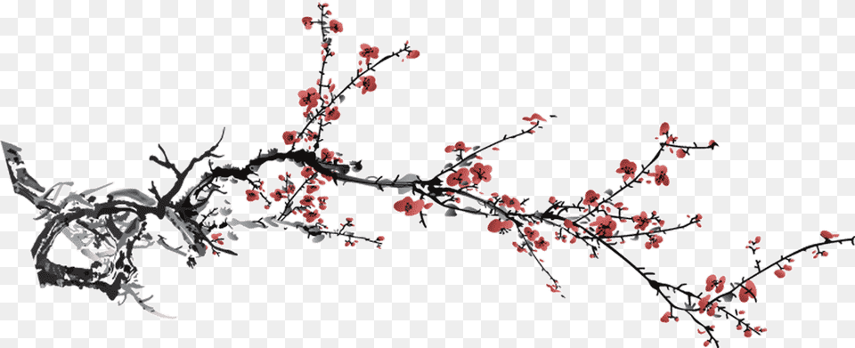 Definition File V Chinese Flowers, Flower, Plant, Cherry Blossom Free Png Download